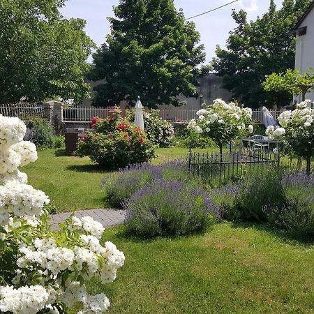 Ferienwohnung Altes Pfarrhaus Mit Flair Und Moselblick Brauneberg Εξωτερικό φωτογραφία