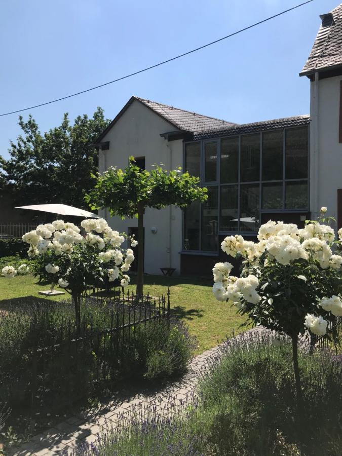 Ferienwohnung Altes Pfarrhaus Mit Flair Und Moselblick Brauneberg Εξωτερικό φωτογραφία